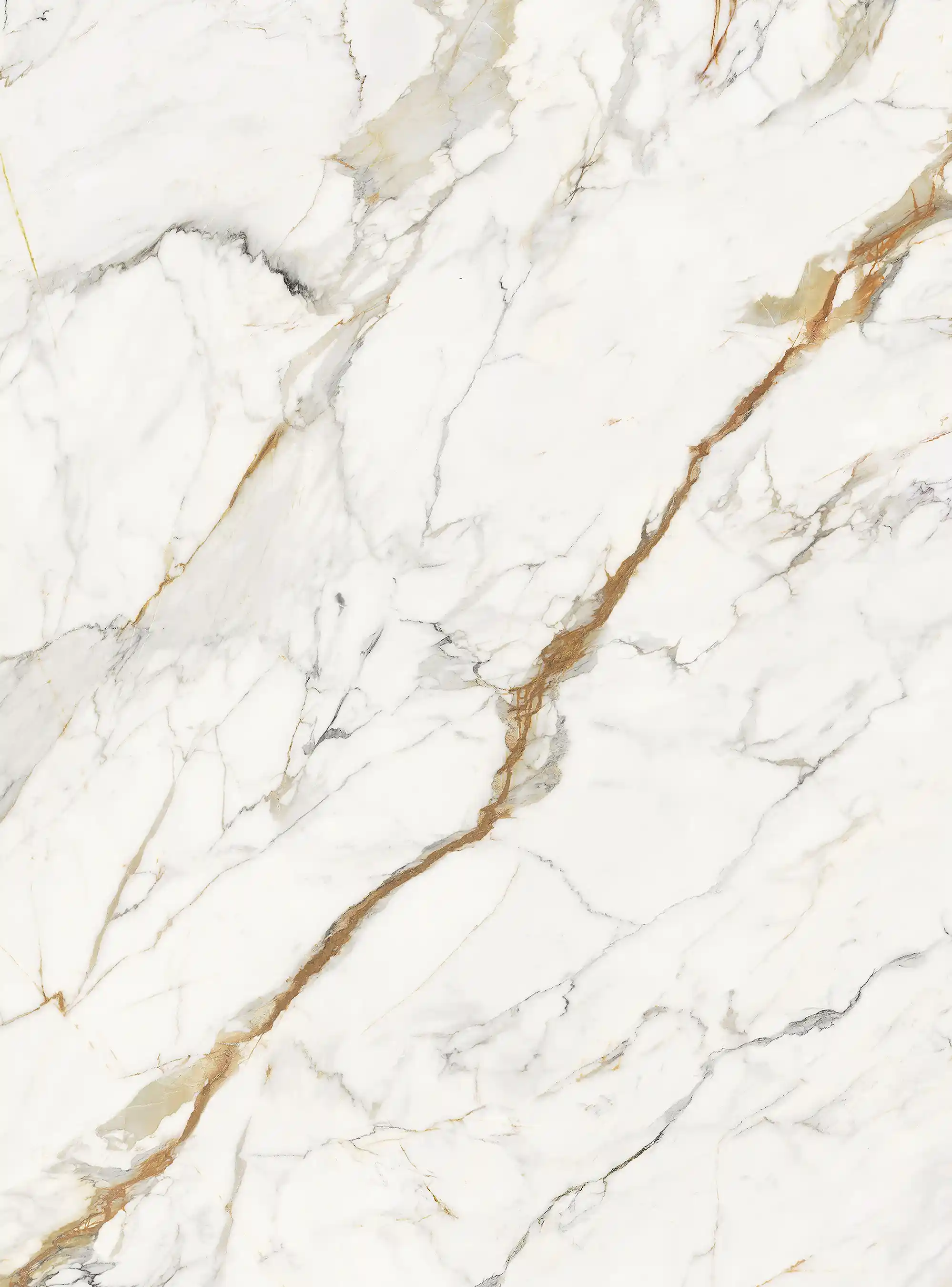Bianco Elan
