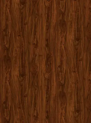 Desert Wood