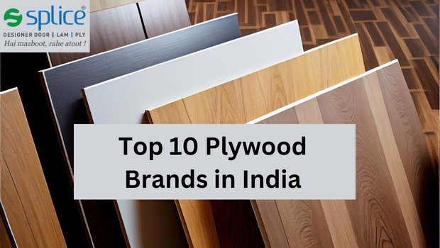 Top 10 Plywood Brands in India
