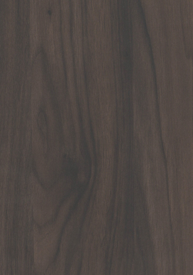 817 - LATIN WALNUT