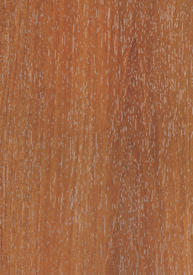 808 OAK - CRISP ASH