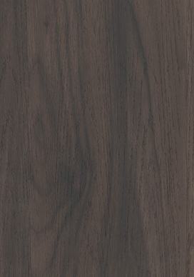 817 SM - LATIN WALNUT