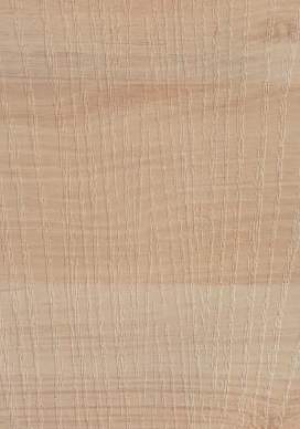 821 ASH - ACACIA LIGHT