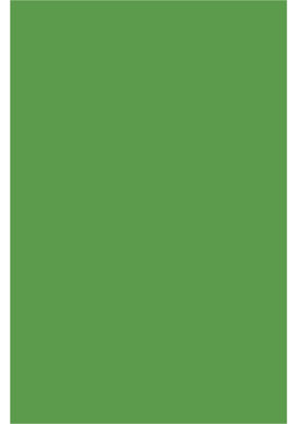 7056 MT - PARROT GREEN